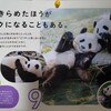 【雑記】あきらめたほうがラクになることもある