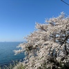 一人で生きる覚悟