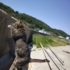 スマホ写真館(6)