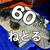 7/25(木)バス60サイズ目撃あり❗️