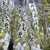 「丹波篠山黒枝豆」販売解禁