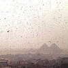 災害は神の御業か？