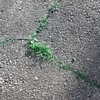 2択だと思っていた、物語の先のこと
