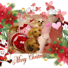 素敵なクリスマスイブになりますように。