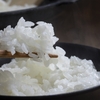 炊飯器のせいかしら？お弁当のご飯いつ炊くのが正解？海外の炊飯器とジャスミンライス。