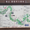 善福寺川緑地で発見したユニークなもの