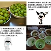 炎の５月、瀕死の6月
