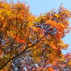 まさかの局所的な雨＆白滝の紅葉♪