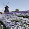 母の日の花博記念公園