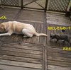 ベリルと同じコト
