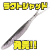 【レインズ】パワーミドストにオススメのFECO対応ワーム「ラクトシャッド」発売！