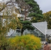 休日の午後はぶらり散策とアフタヌーンビール【東京都薬用植物園】