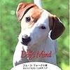 保護犬ジジ、留守番ができるようになる②