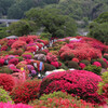 5月9日水