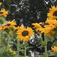 写真＆カメラ＆旅