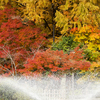 高岡古城公園の紅葉風景