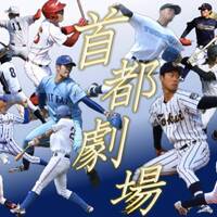 首都大学野球 21年春季リーグ戦 平塚球場試合日程 ちがちが茅ヶ崎 湘南の地域情報 多趣味ブログ