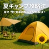 🌻夏キャンプ攻略法｜暑さ・虫・食事の悩みを全部解決！