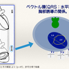 【 コラム-065：ベクトル心電図 】最初の一歩(その2)