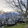 神奈川県相模原市　PICAさがみ湖のコテージに泊まってみたら、桜が満開だった（昼編）（2025年4月）