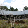 牧野富太郎記念館（高知県立牧野植物園） 高知県高知市五台山