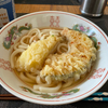 天ぷらうどん