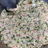 【タネが決め手だ！！】ママやん特製餃子で餃子パーティーした件