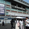 〖聖地〗乃木坂46神宮球場ライブ2023最終日レポ　密度が濃く内容の分厚いライブだった