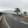 冬
