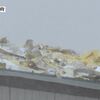 ２週間で屋根が飛ぶ　飛ぶ