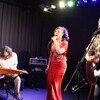 演歌とラップスティールギター