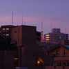記憶にございません。