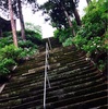 鎌倉の紫陽花寺と山梨の紫陽花寺比べ〜雨の時期ならではのお出かけ