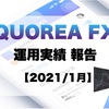 【運用4ヵ月】AIロボに任せるFX！QUOREA FX（クオレア）運用経過報告