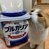 大好きなヨーグルトを食べ残したるるちゃん。原因はヨーグルトの蓋？