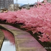 4月に入っていろいろと手続が多くて（その１）