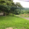 一本杉園地キャンプ場　その39