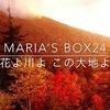 【はてなブログコラボ☺️】maria’s Box24作成秘話。感謝しています(▰˘◡˘▰)