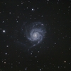 M101