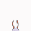 Red eyes rabbit (赤い目のウサギ)