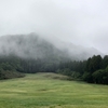 雨