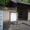 新緑の大田黒公園(東京都杉並区荻窪)。