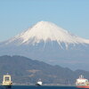三保からの富士山