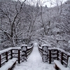 花貫渓谷　雪の吊橋