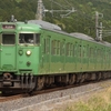 第1362列車　「　緑だらけ～抹茶色113系を更に狙う 2020・GW 草津線紀行その3　」
