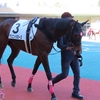 260314中京競馬場観戦速報１