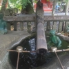 河童だらけの神社、雲八幡宮へ行ってきました！