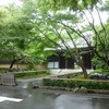 残暑も一息・・ホォっと出来る雨宿り☂　今川家菩提寺『観泉寺』と焼き立てトースト　🍞