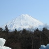 Nikon「COOLPIX P900」で人生２度目の野鳥（＋ダイヤモンド富士）を撮りました。　～一泊旅行～