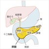 ５年生存率は７．７％．．．／膵臓がん